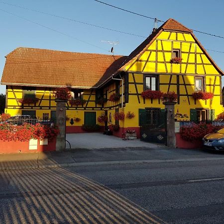 Maison Alsacienne A Andolsheim Exterior photo