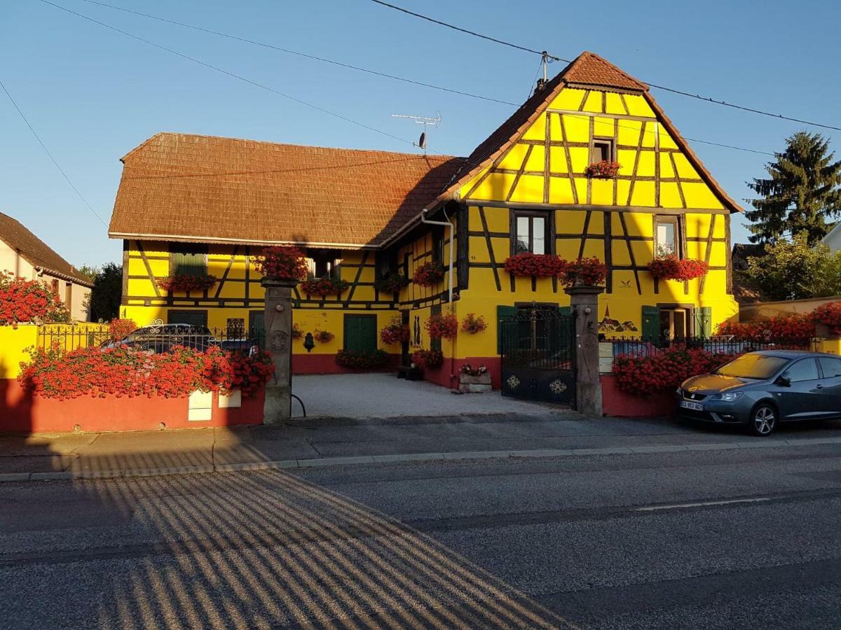 Maison Alsacienne A Andolsheim Exterior photo